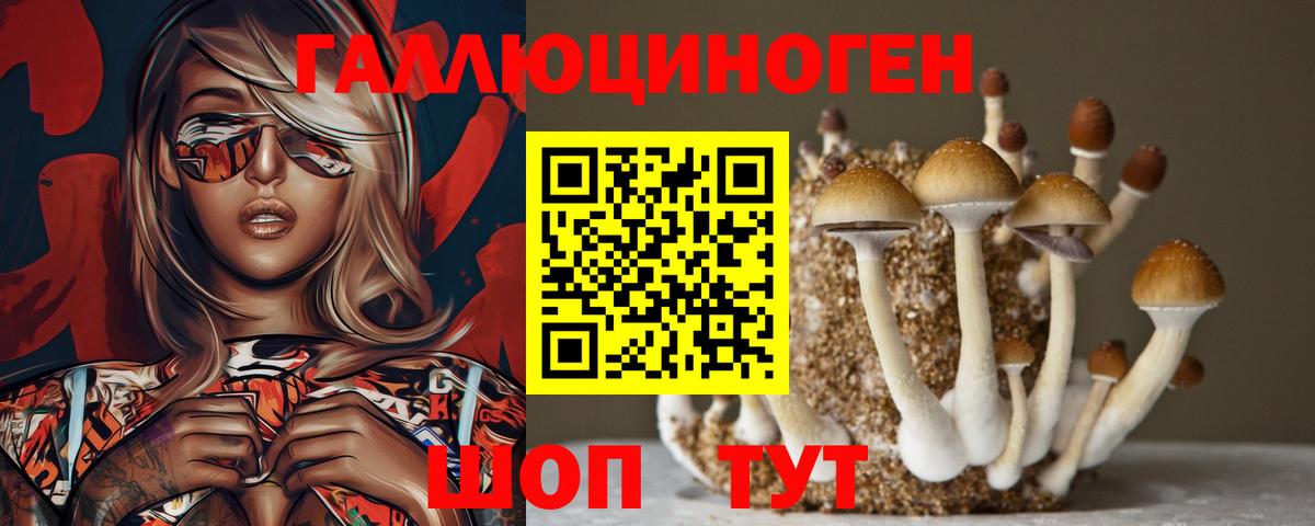 ГАШ  Каннабис  Купить  МЕФ кристаллы  Бузулук  ГАШ  Вход с VPN 