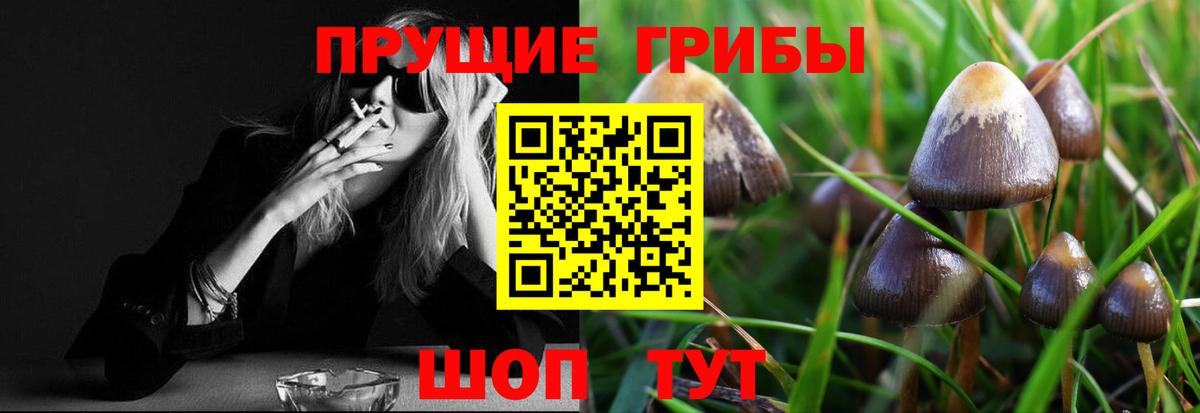 Псилоцибиновые грибы Psilocybe  где можно купить   Бузулук  Вход с VPN 
