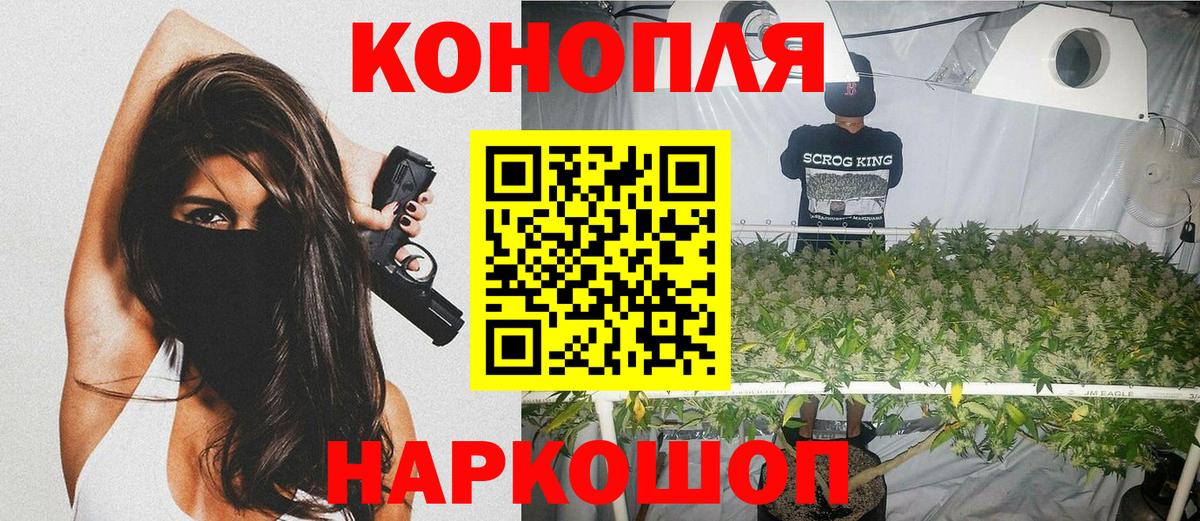 Каннабис сатива Бузулук